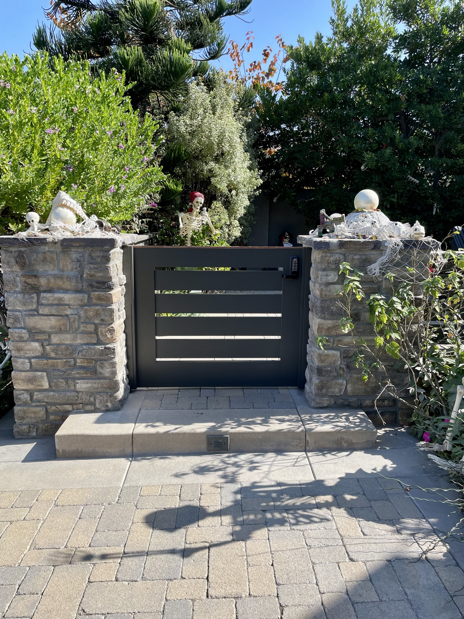 Contemporary & Modern Wood Gate 1361
