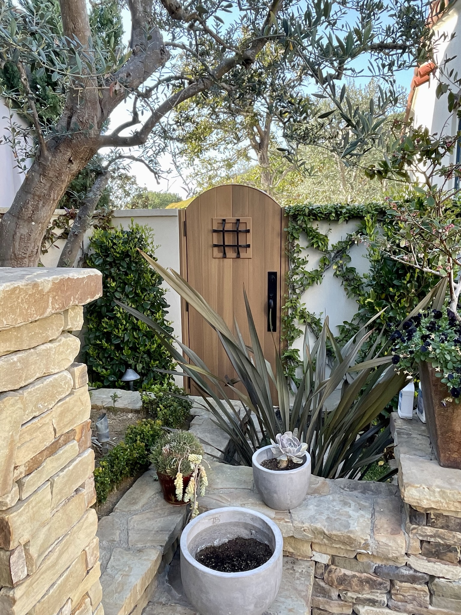 Mediterranean Wood Gate 1271